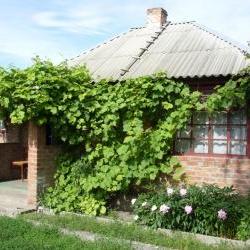 Продам - Дома (Пригород) - Разное